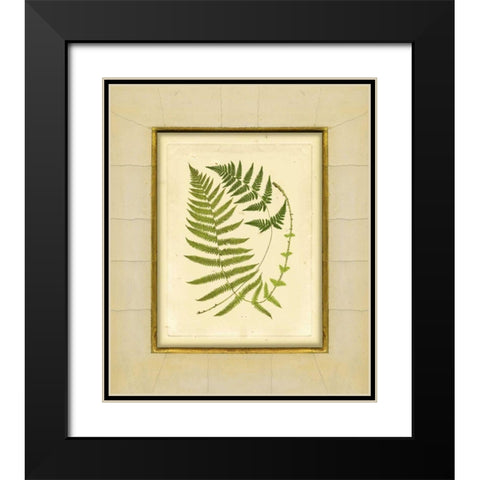 Fern with Crackle Mat III Black Modern Wood Framed Art Print with Double Matting by Unknown