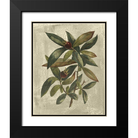 Printed Deshayes Trees III Black Modern Wood Framed Art Print with Double Matting by Vision Studio