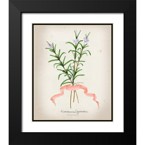 Herb Series III Black Modern Wood Framed Art Print with Double Matting by Goldberger, Jennifer