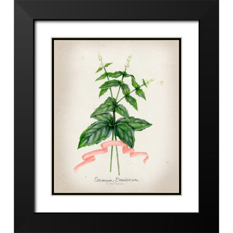 Herb Series IV Black Modern Wood Framed Art Print with Double Matting by Goldberger, Jennifer