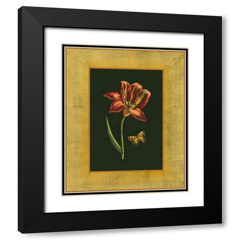 Tulip in Frame II Black Modern Wood Framed Art Print with Double Matting by Unknown