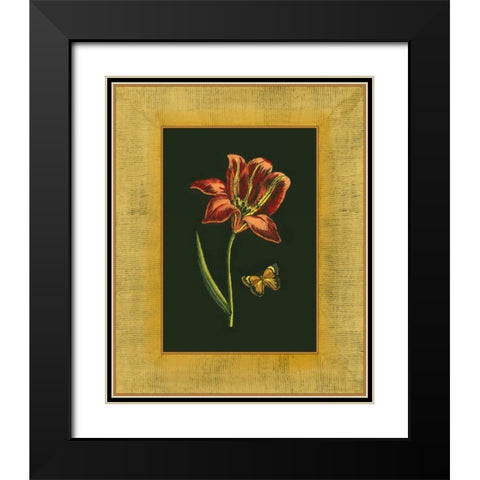 Tulip in Frame II Black Modern Wood Framed Art Print with Double Matting by Unknown