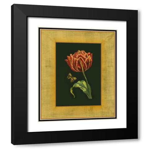Tulip in Frame III Black Modern Wood Framed Art Print with Double Matting by Unknown