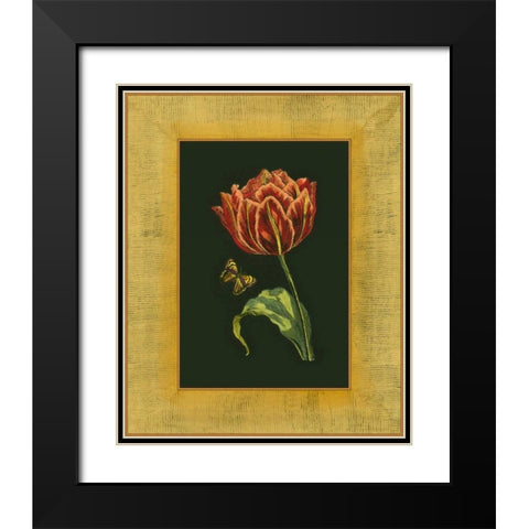 Tulip in Frame III Black Modern Wood Framed Art Print with Double Matting by Unknown