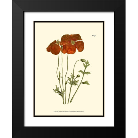 Fiery Florals II Black Modern Wood Framed Art Print with Double Matting by Curtis