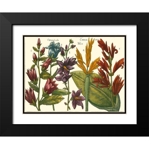 Printed Arena Botanical III Black Modern Wood Framed Art Print with Double Matting by Vision Studio