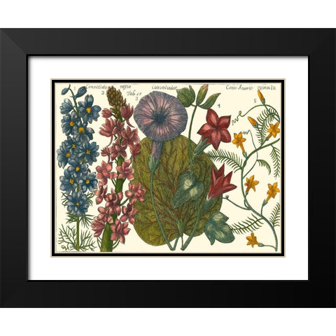 Printed Arena Botanical IV Black Modern Wood Framed Art Print with Double Matting by Vision Studio