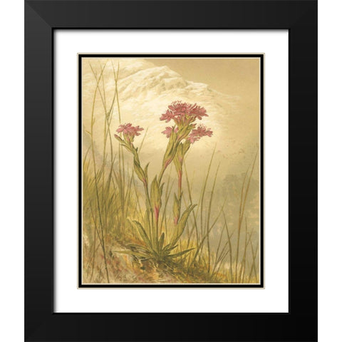 Alpine Florals II Black Modern Wood Framed Art Print with Double Matting by Vision Studio
