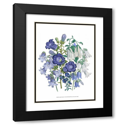 Loudon Florals I Black Modern Wood Framed Art Print with Double Matting by Loudon, Jane