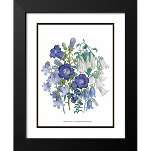 Loudon Florals I Black Modern Wood Framed Art Print with Double Matting by Loudon, Jane