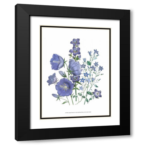 Loudon Florals II Black Modern Wood Framed Art Print with Double Matting by Loudon, Jane