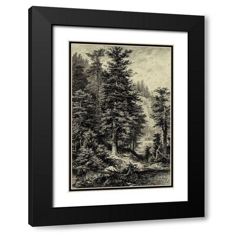 Noble Fir Black Modern Wood Framed Art Print with Double Matting by Heyn, Ernst