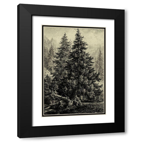 Spruce Pine Black Modern Wood Framed Art Print with Double Matting by Heyn, Ernst