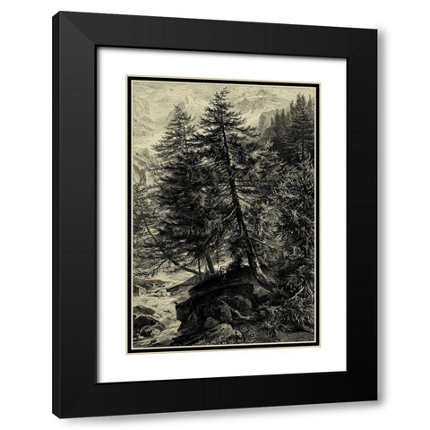 Larch Tree Black Modern Wood Framed Art Print with Double Matting by Heyn, Ernst