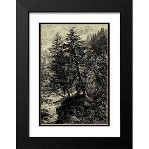 Larch Tree Black Modern Wood Framed Art Print with Double Matting by Heyn, Ernst