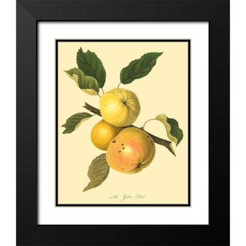 The Yellow Elliot Black Modern Wood Framed Art Print with Double Matting by Unknown