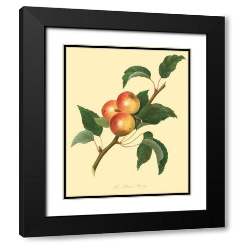 The Siberian Harvey Black Modern Wood Framed Art Print with Double Matting by Unknown