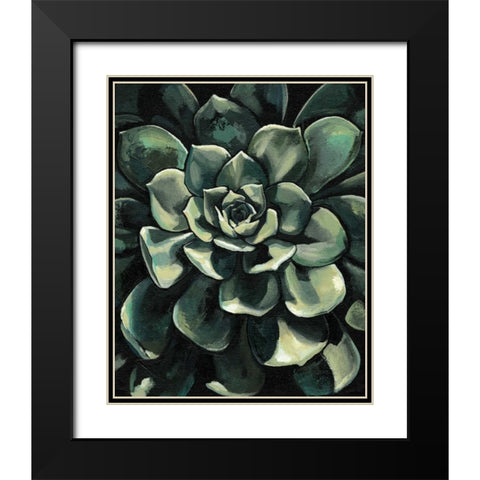 Printed Lunar Succulent I Black Modern Wood Framed Art Print with Double Matting by Meagher, Megan