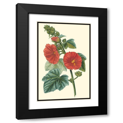Crimson Beauty II Black Modern Wood Framed Art Print with Double Matting by Turpin