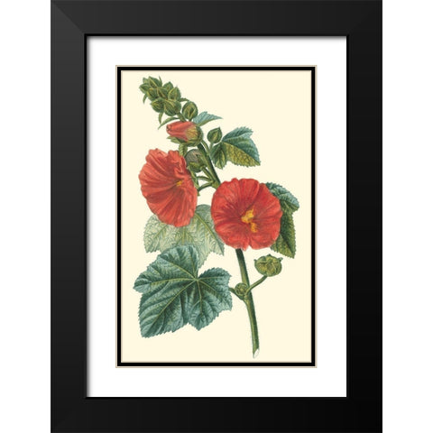 Crimson Beauty II Black Modern Wood Framed Art Print with Double Matting by Turpin