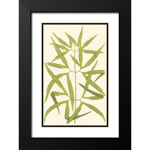 Woodland Ferns I Black Modern Wood Framed Art Print with Double Matting by Lowe, E. J.