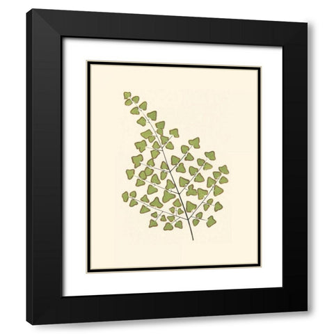 Woodland Ferns II Black Modern Wood Framed Art Print with Double Matting by Lowe, E. J.
