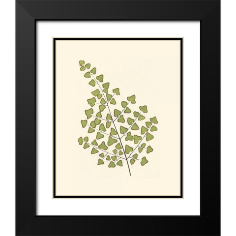 Woodland Ferns II Black Modern Wood Framed Art Print with Double Matting by Lowe, E. J.
