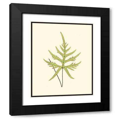 Woodland Ferns IV Black Modern Wood Framed Art Print with Double Matting by Lowe, E. J.