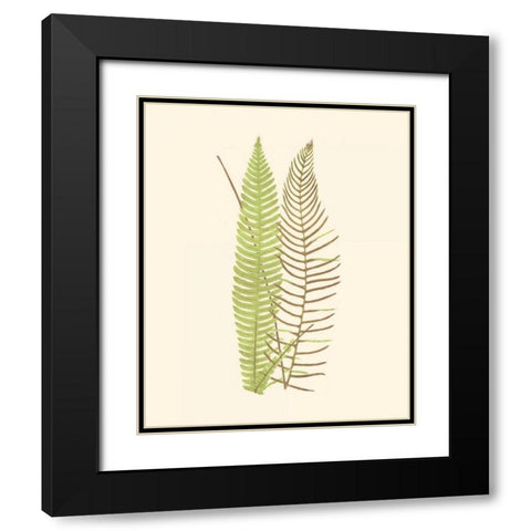 Woodland Ferns V Black Modern Wood Framed Art Print with Double Matting by Lowe, E. J.