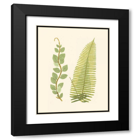 Woodland Ferns VI Black Modern Wood Framed Art Print with Double Matting by Lowe, E. J.