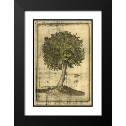 Printed Fruitful Realm I  Black Modern Wood Framed Art Print with Double Matting by Vision Studio