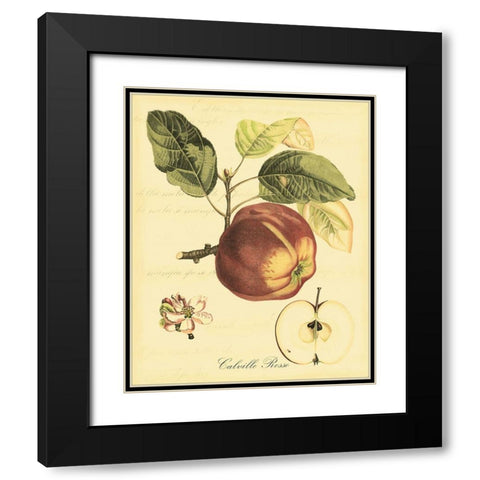 Petite Tuscan Fruits I Black Modern Wood Framed Art Print with Double Matting by Vision Studio