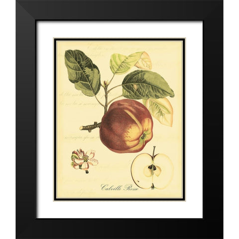 Petite Tuscan Fruits I Black Modern Wood Framed Art Print with Double Matting by Vision Studio