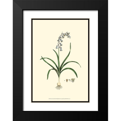 Curtis Garden III Black Modern Wood Framed Art Print with Double Matting by Curtis