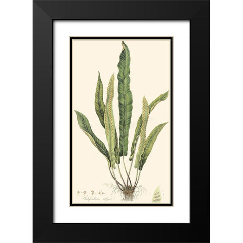 Curtis Ferns IV Black Modern Wood Framed Art Print with Double Matting by Curtis