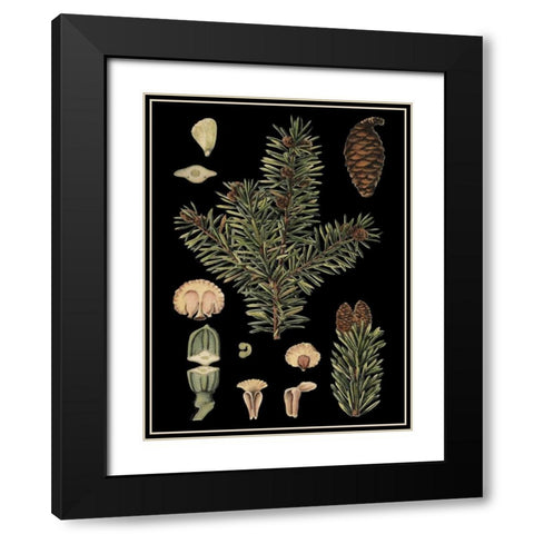 Small Dramatic Conifers I  Black Modern Wood Framed Art Print with Double Matting by Vision Studio