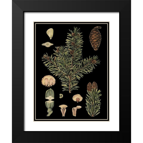 Small Dramatic Conifers I  Black Modern Wood Framed Art Print with Double Matting by Vision Studio