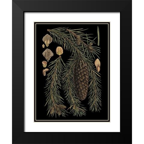 Small Dramatic Conifers III Black Modern Wood Framed Art Print with Double Matting by Vision Studio
