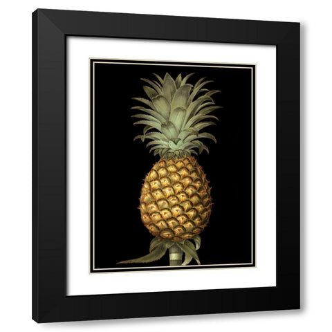 Custom Brookshaw Exotic Pineapple I (CR) Black Modern Wood Framed Art Print with Double Matting by Brookshaw, George