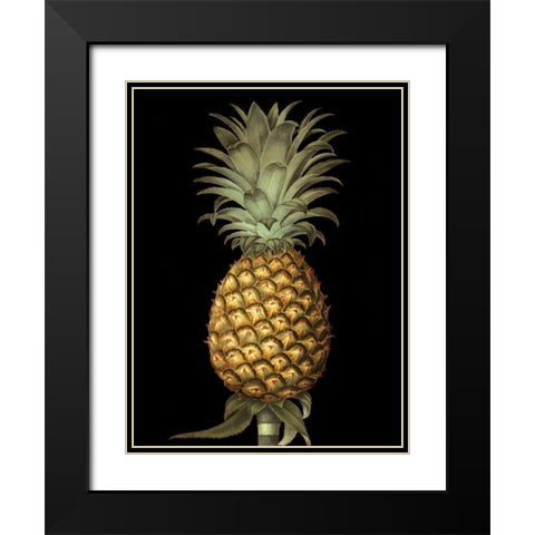 Custom Brookshaw Exotic Pineapple I (CR) Black Modern Wood Framed Art Print with Double Matting by Brookshaw, George