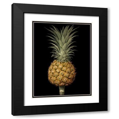 Custom Brookshaw Exotic Pineapple II (CR) Black Modern Wood Framed Art Print with Double Matting by Brookshaw, George
