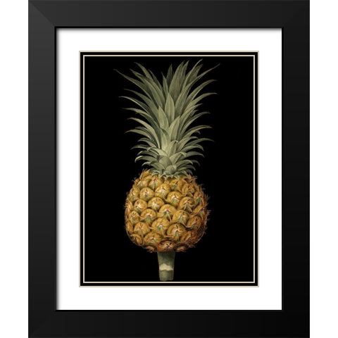 Custom Brookshaw Exotic Pineapple II (CR) Black Modern Wood Framed Art Print with Double Matting by Brookshaw, George