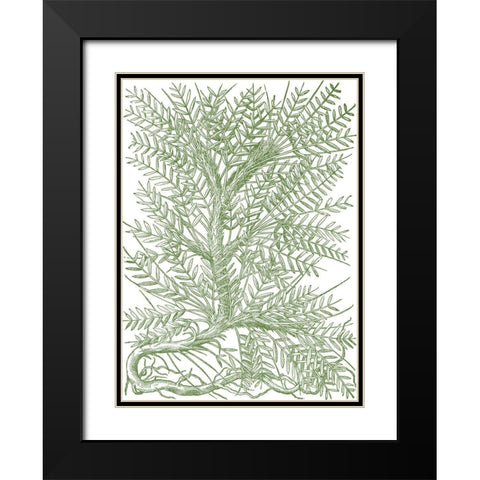 Mossy Branches III Black Modern Wood Framed Art Print with Double Matting by du Monceau, Duhamel