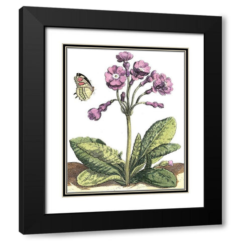Garden Vignette I Black Modern Wood Framed Art Print with Double Matting by De Bry, Johann