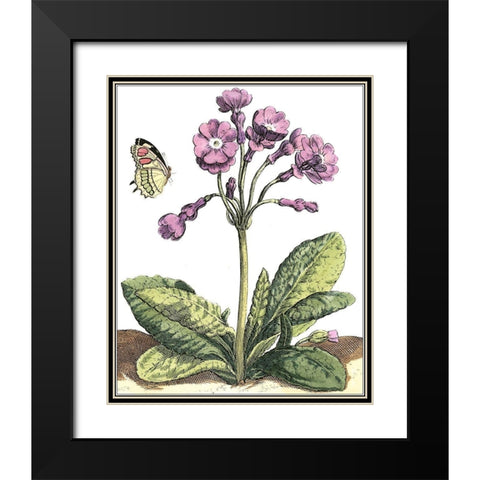 Garden Vignette I Black Modern Wood Framed Art Print with Double Matting by De Bry, Johann