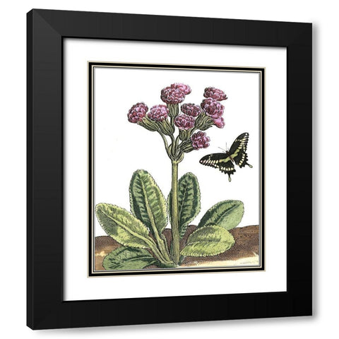 Garden Vignette II Black Modern Wood Framed Art Print with Double Matting by De Bry, Johann