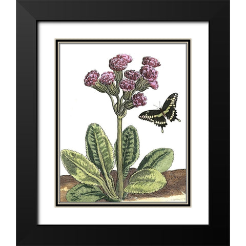 Garden Vignette II Black Modern Wood Framed Art Print with Double Matting by De Bry, Johann