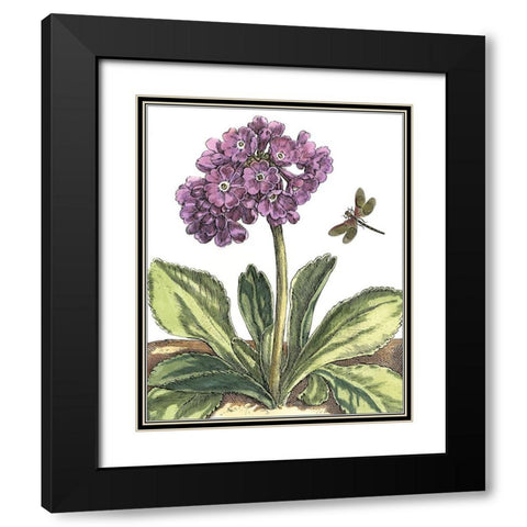 Garden Vignette III Black Modern Wood Framed Art Print with Double Matting by De Bry, Johann