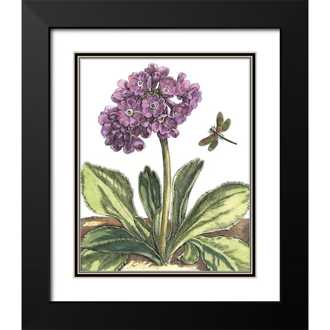 Garden Vignette III Black Modern Wood Framed Art Print with Double Matting by De Bry, Johann