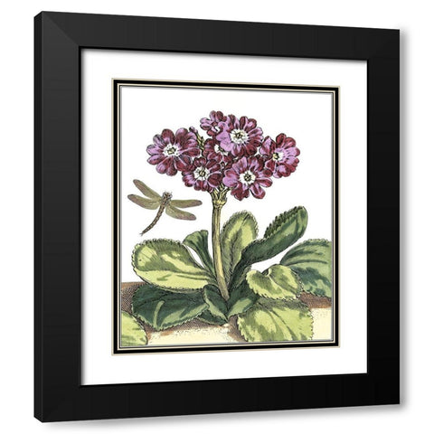 Garden Vignette IV Black Modern Wood Framed Art Print with Double Matting by De Bry, Johann